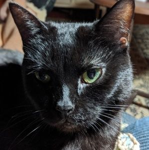 Meet your Posher, Mary